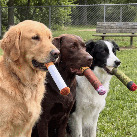 Three dogs carrying cigarette, cigar, and joint lookalike toys