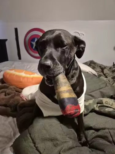 Dog holding a cigar lookalike squeaky toy
