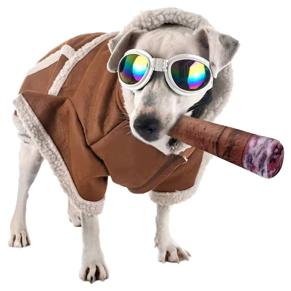 Dog wearing a jacket and sunglasses while holding a cigar toy